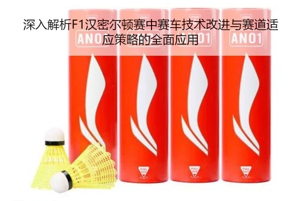 深入解析F1汉密尔顿赛中赛车技术改进与赛道适应策略的全面应用